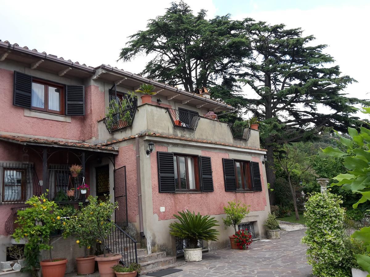 Bed&Breakfast "Fiorella" Sul Lago Кастел Гандолфо Екстериор снимка