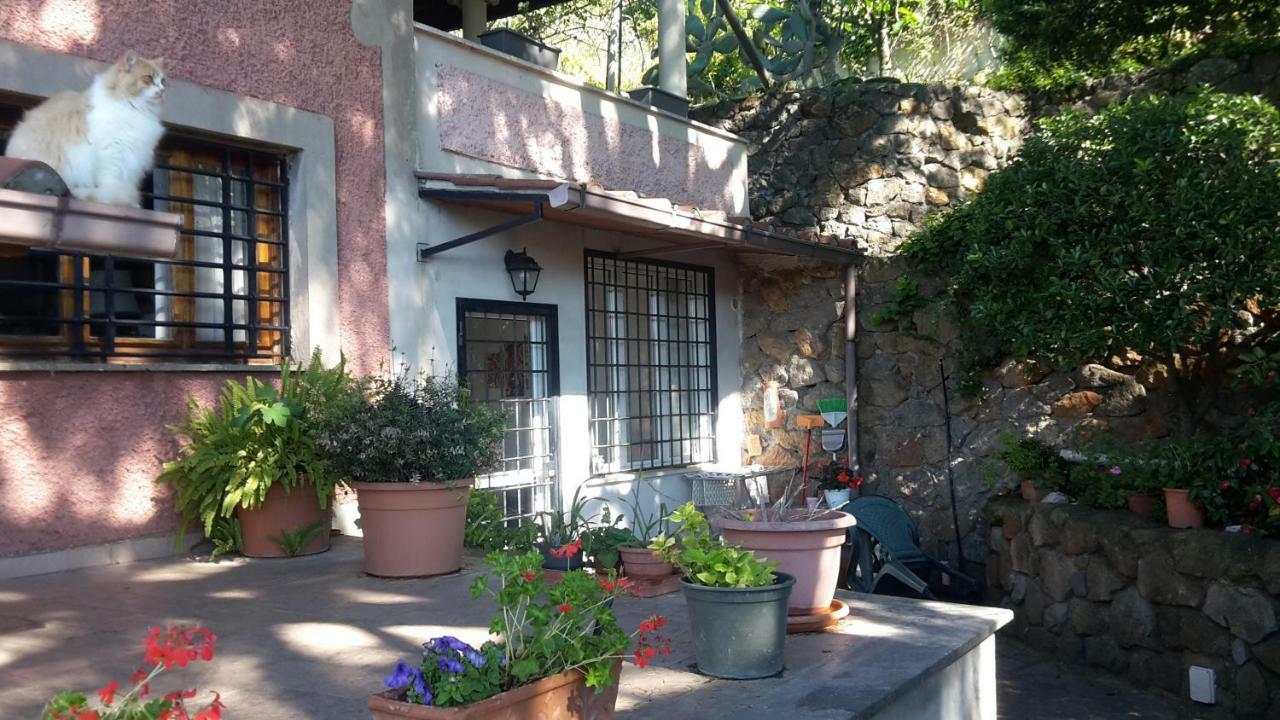 Bed&Breakfast "Fiorella" Sul Lago Кастел Гандолфо Екстериор снимка